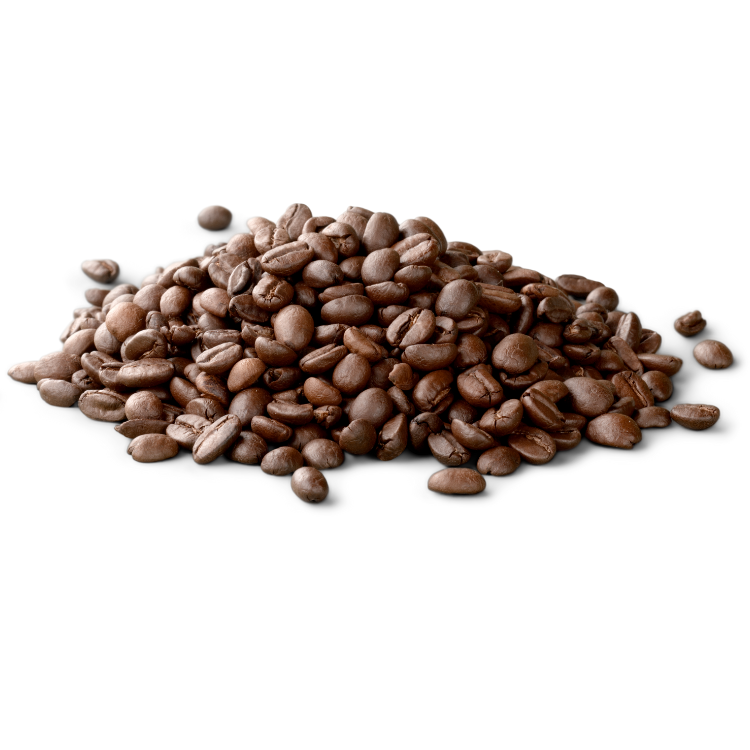 The Equator Espresso Roast